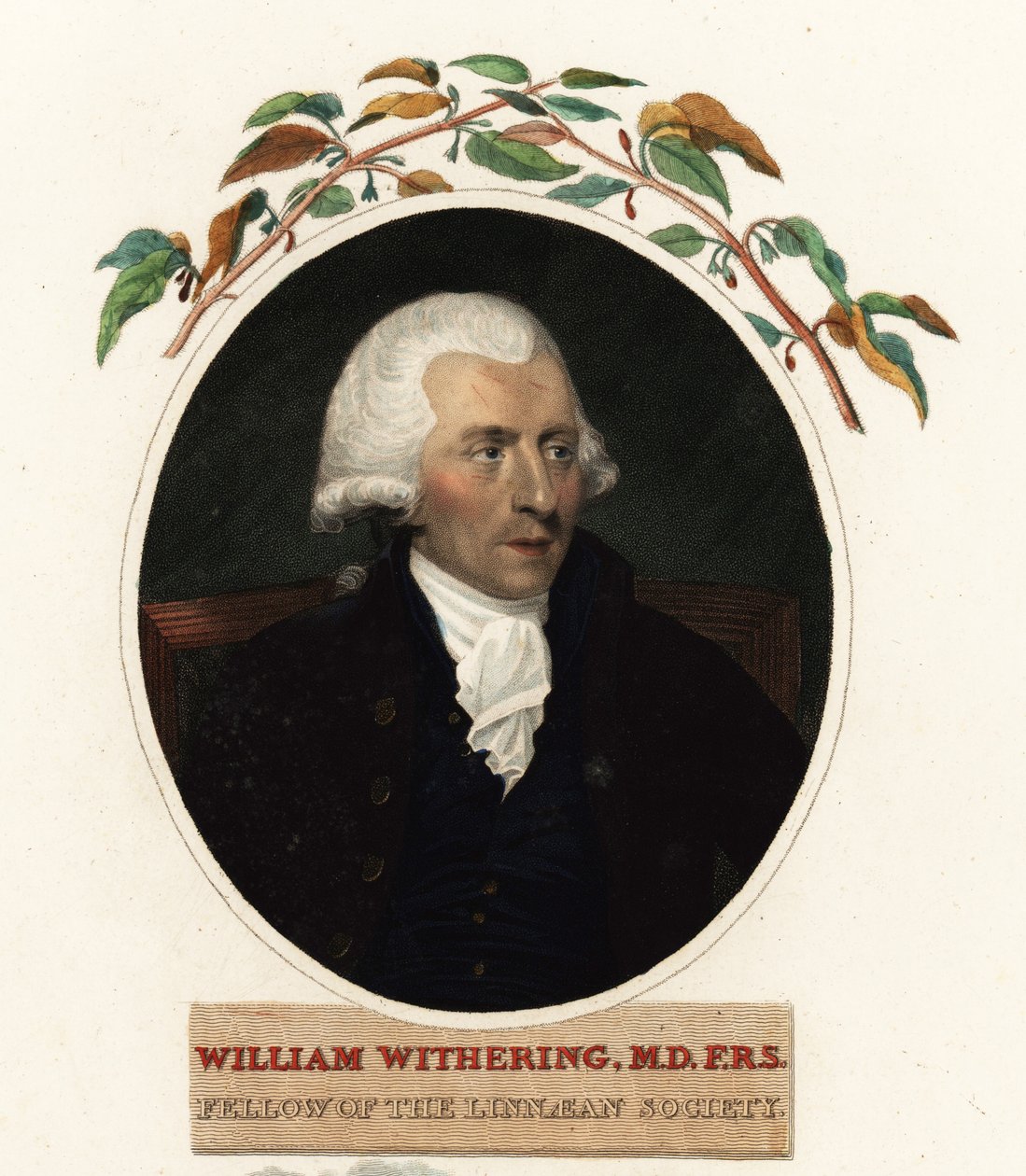 Retrato de William Withering, médico y botánico de Carl Frederik van (after) Breda