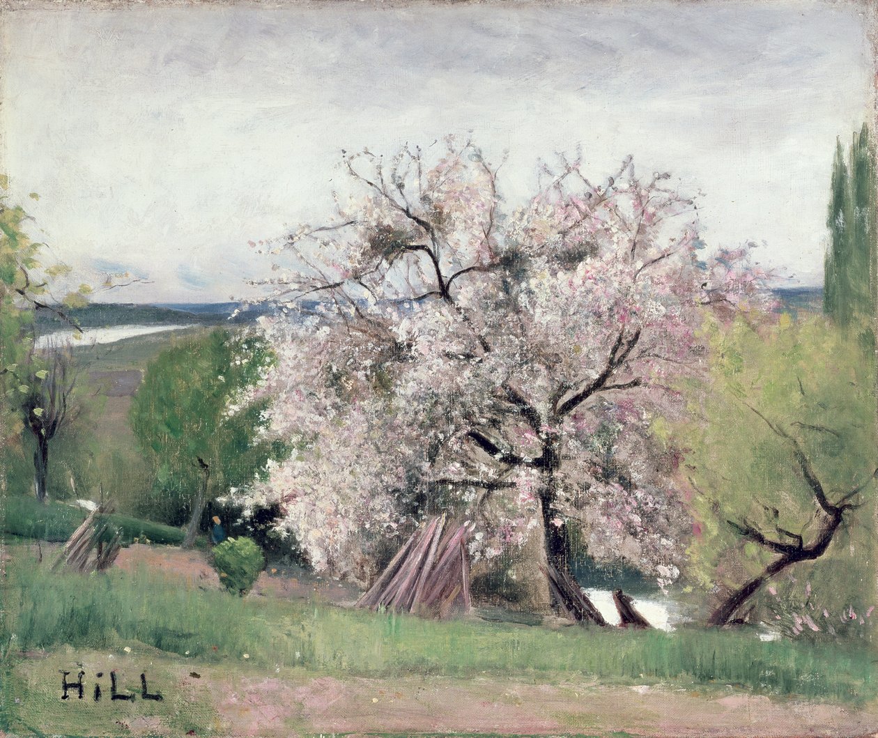 Árbol frutal en flor, Bois-le-Roi de Carl Fredrik Hill