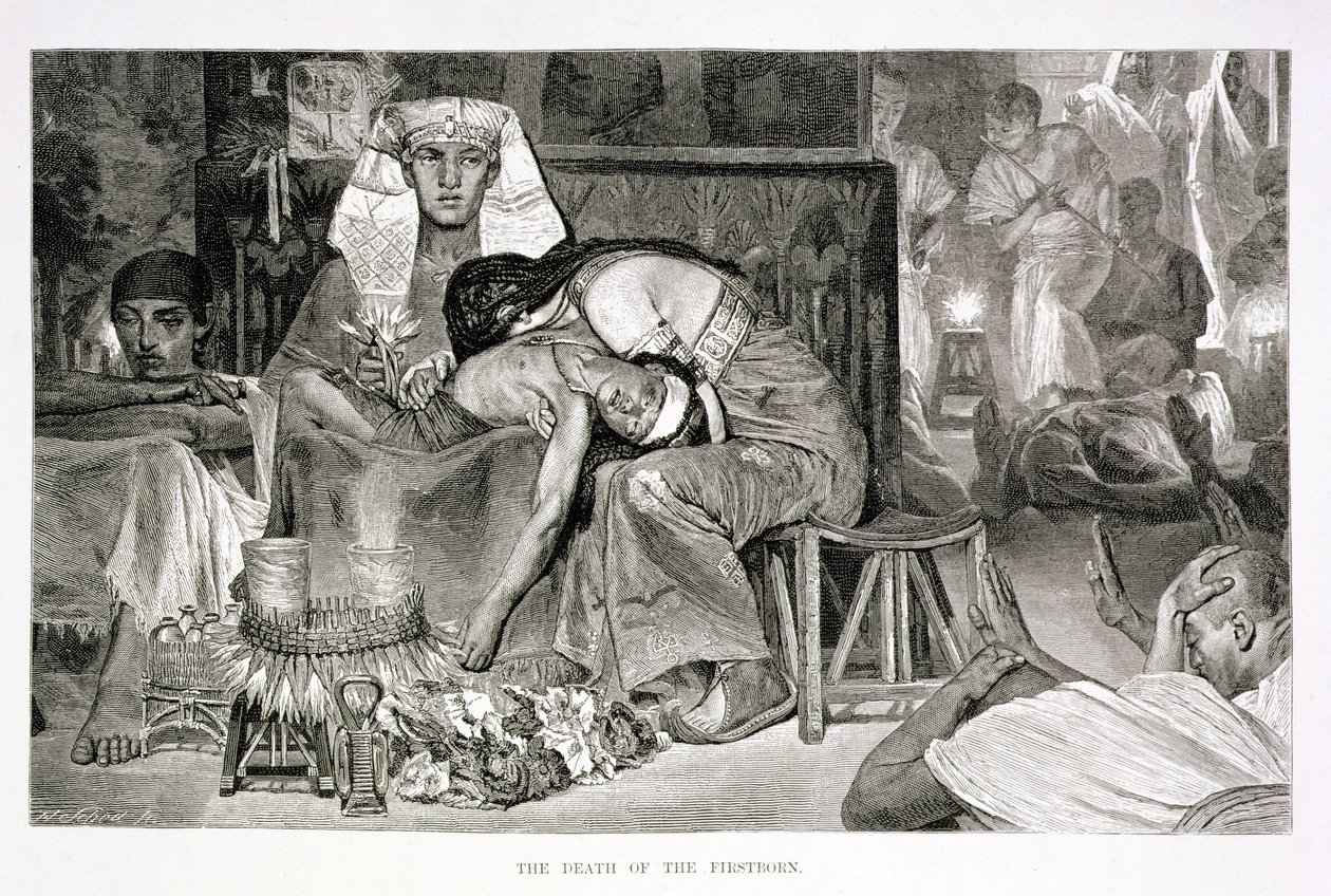La muerte del primogénito, siglo XIX de Carl Friedrich Heinrich Werner