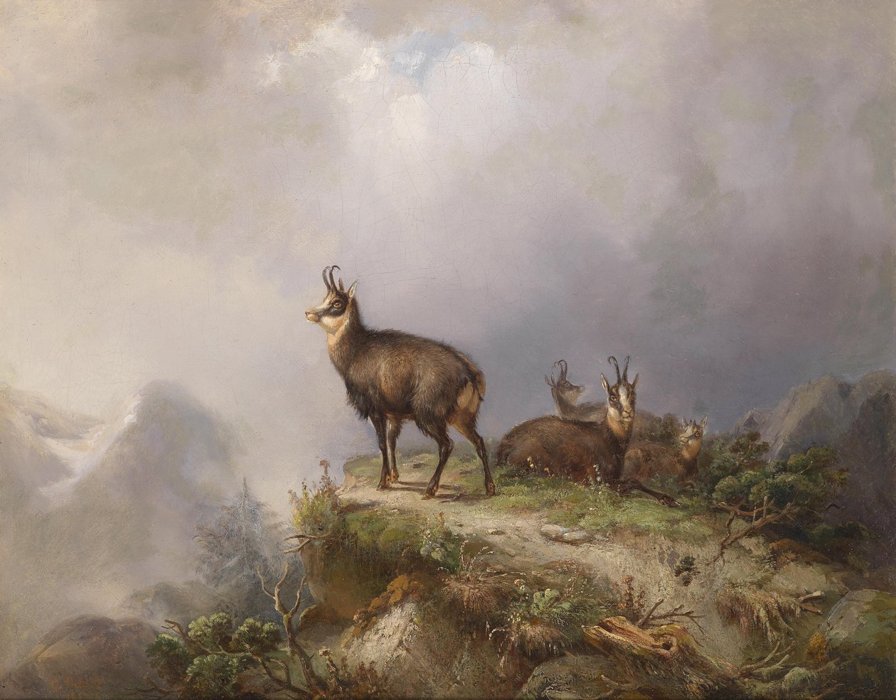 Carl Ockert Gamuza de Carl Friedrich Ockert