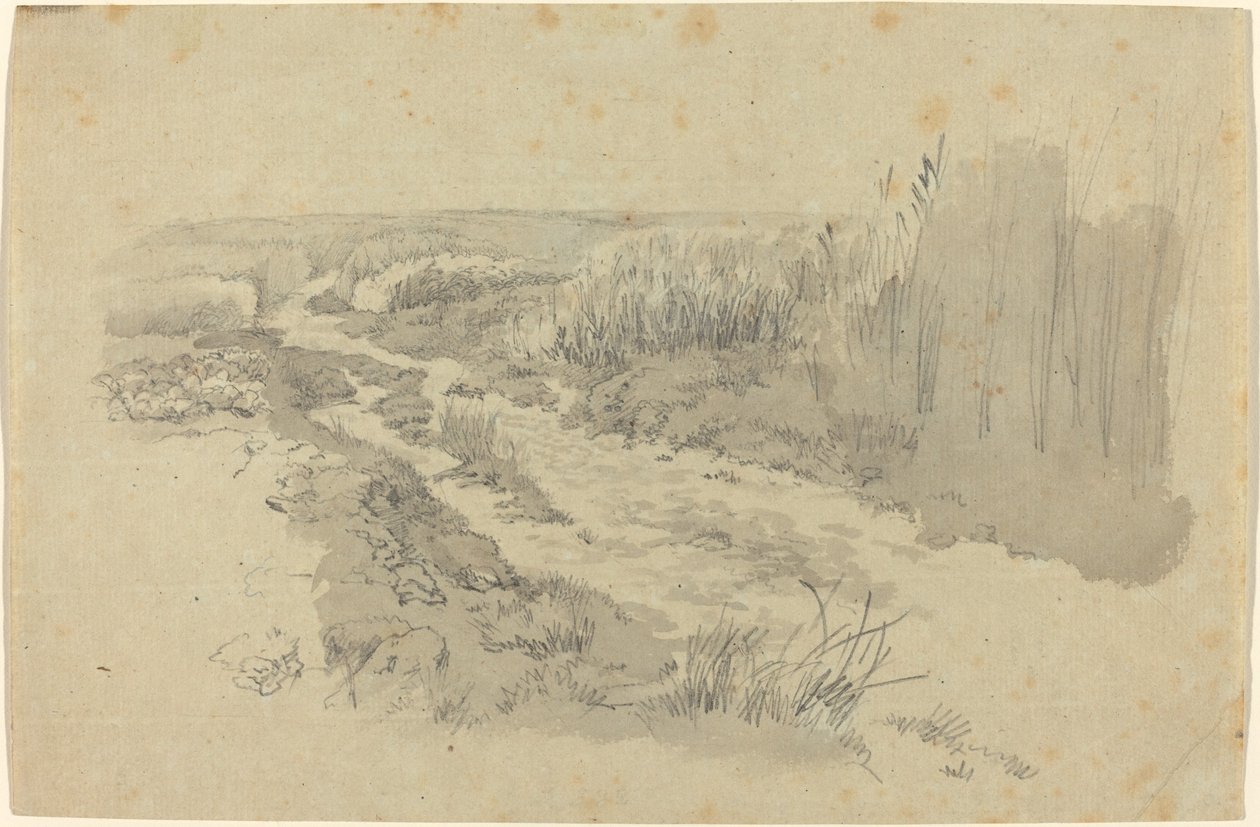 Un Camino a Través de los Campos Cerca de Leipzig de Carl Gustav Carus