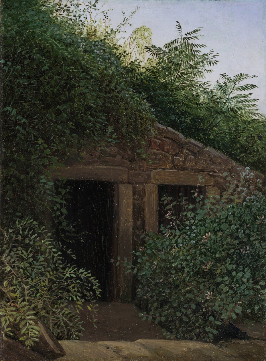 Un Pozo de Mina Cubierto de Vegetación, ca. 1824 de Carl Gustav Carus