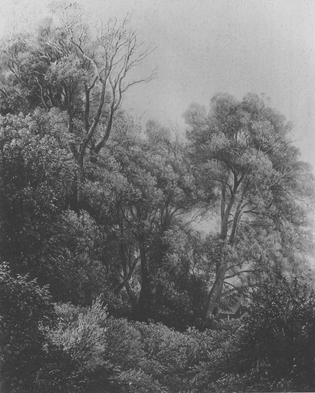 Pillnitz En la isla del Elba Carl Gustav Carus 1840 de Carl Gustav Carus