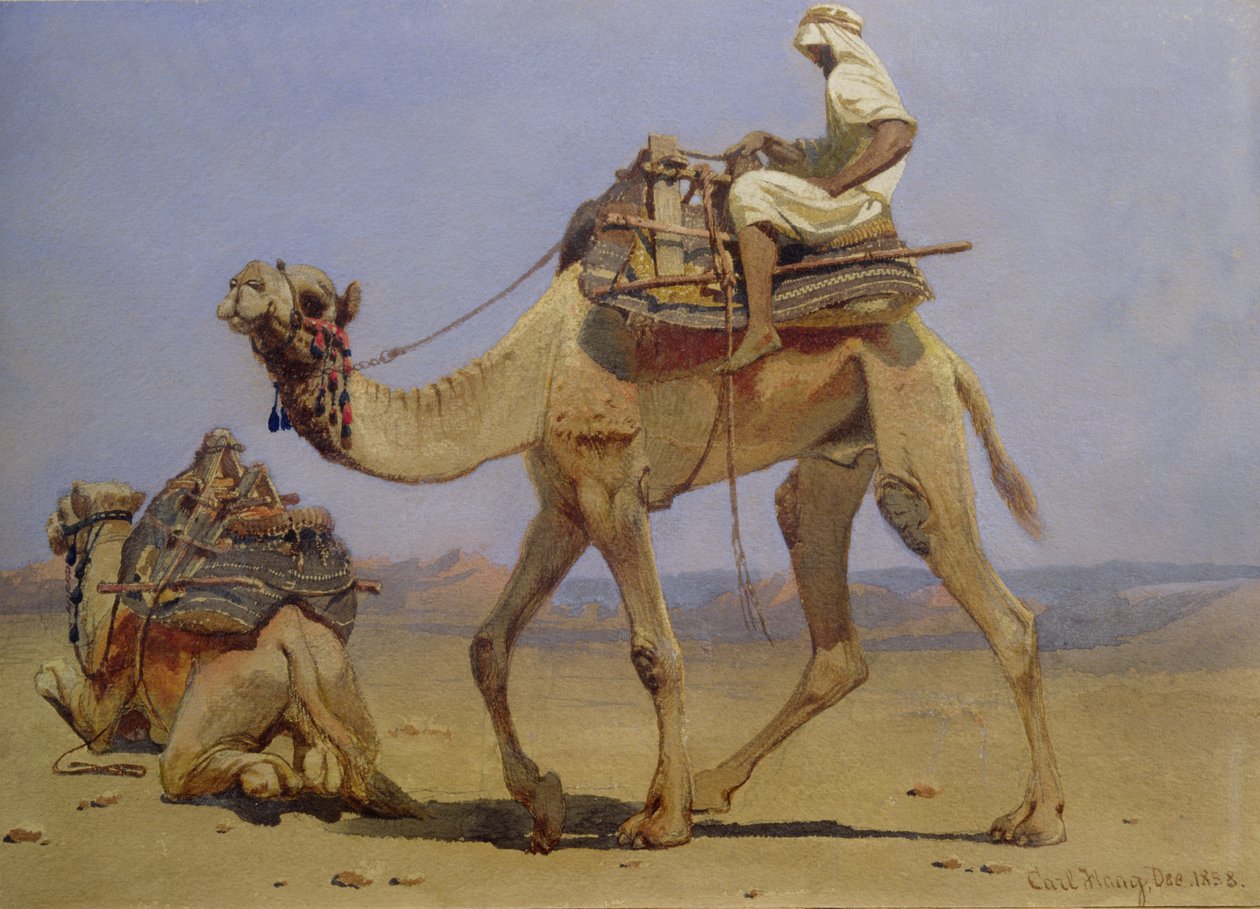 Camello preparándose para acostarse, 1858 de Carl Haag