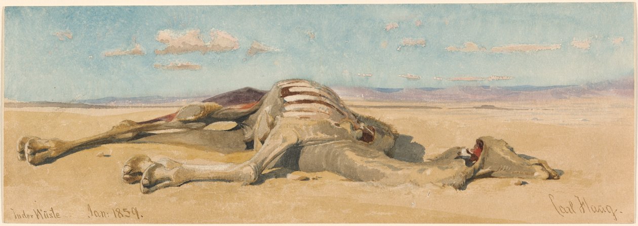 In der Wüste de Carl Haag