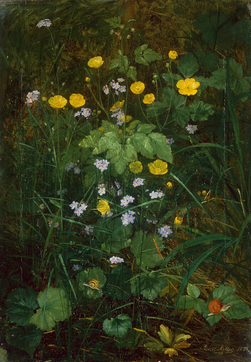 Ranúnculos y Nomeolvides en el suelo del bosque de Carl Henrik Koch Moller