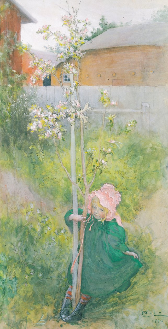 Flor de Manzano, 1894 de Carl Larsson