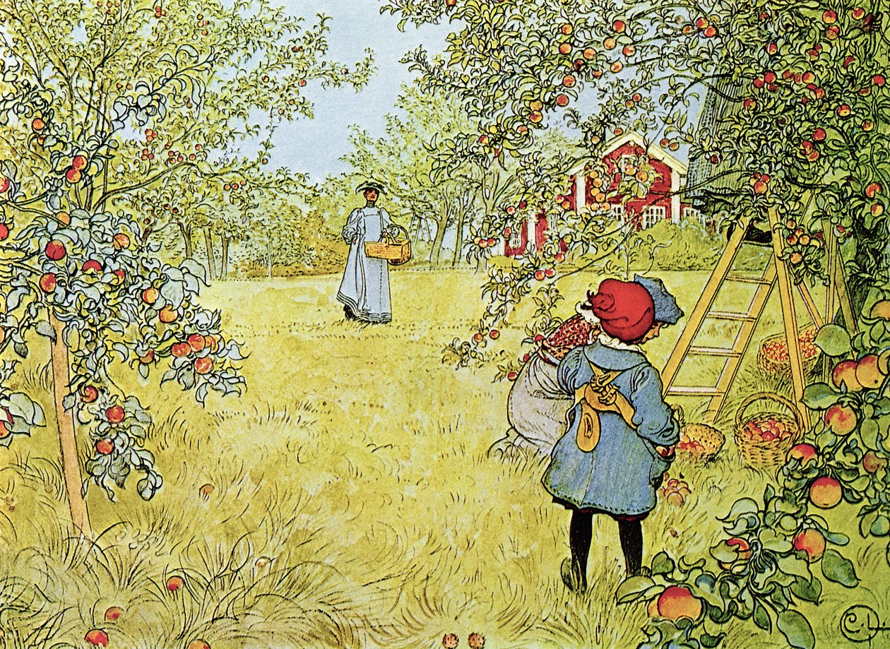 La cosecha de manzanas de Carl Larsson
