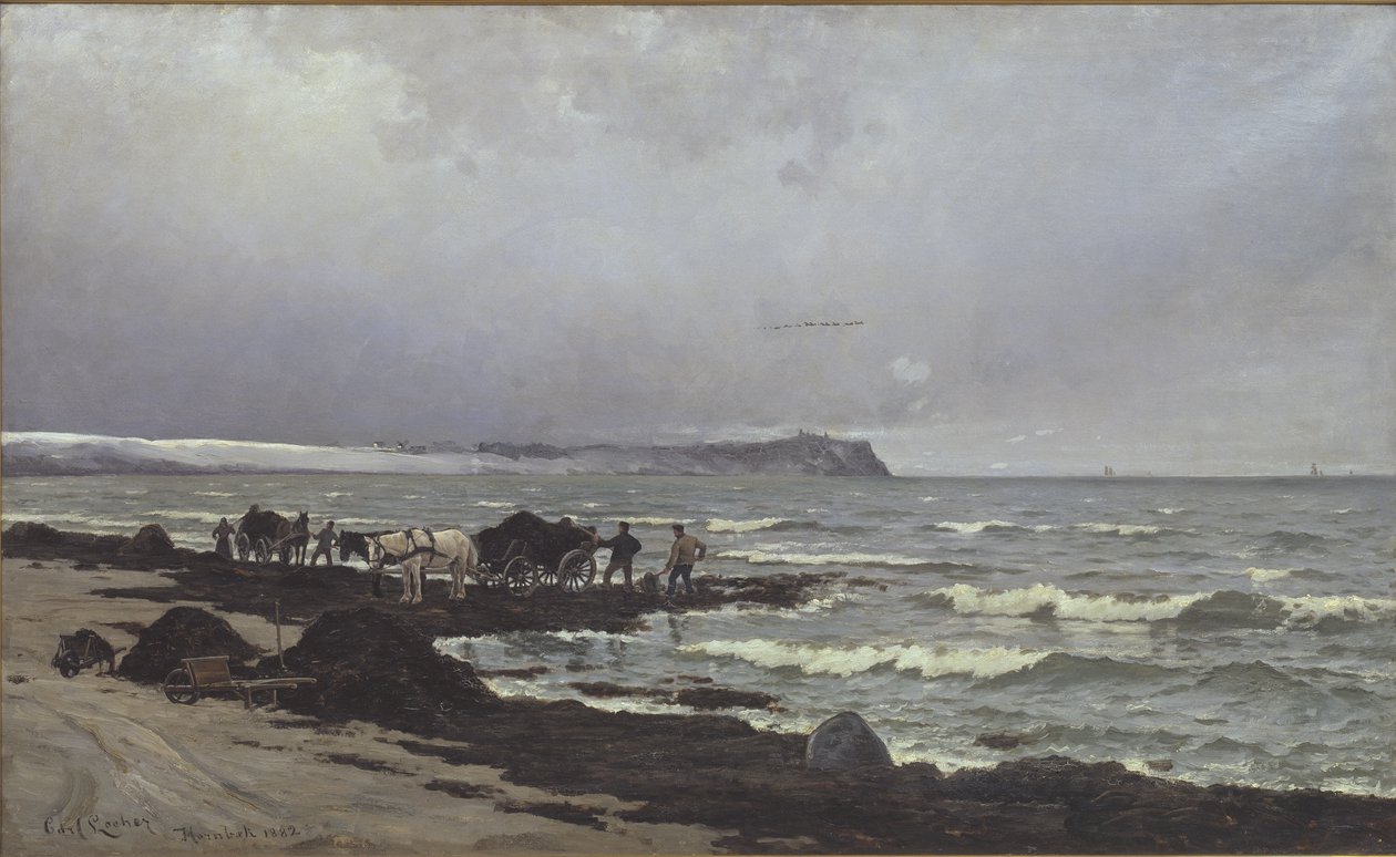 Cargando algas en la playa de Hornbæk de Carl Locher