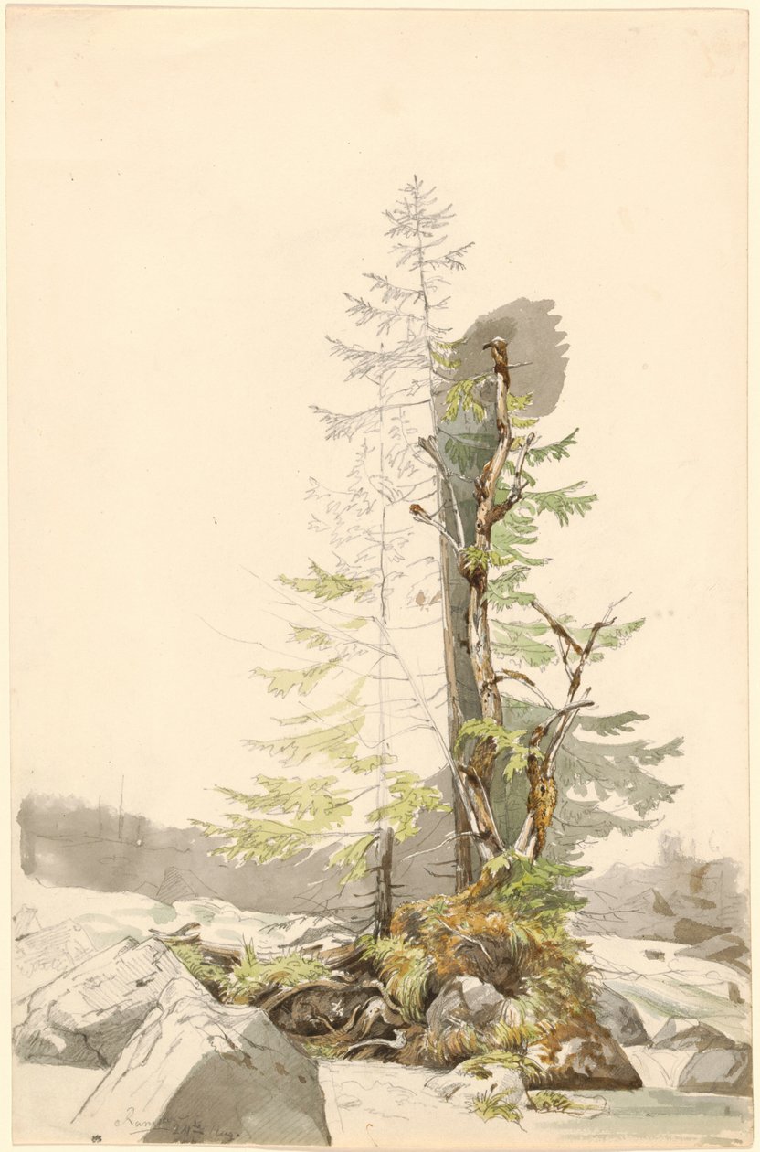 Un grupo de árboles junto a un arroyo rocoso en Ramsau de Carl Morgenstern