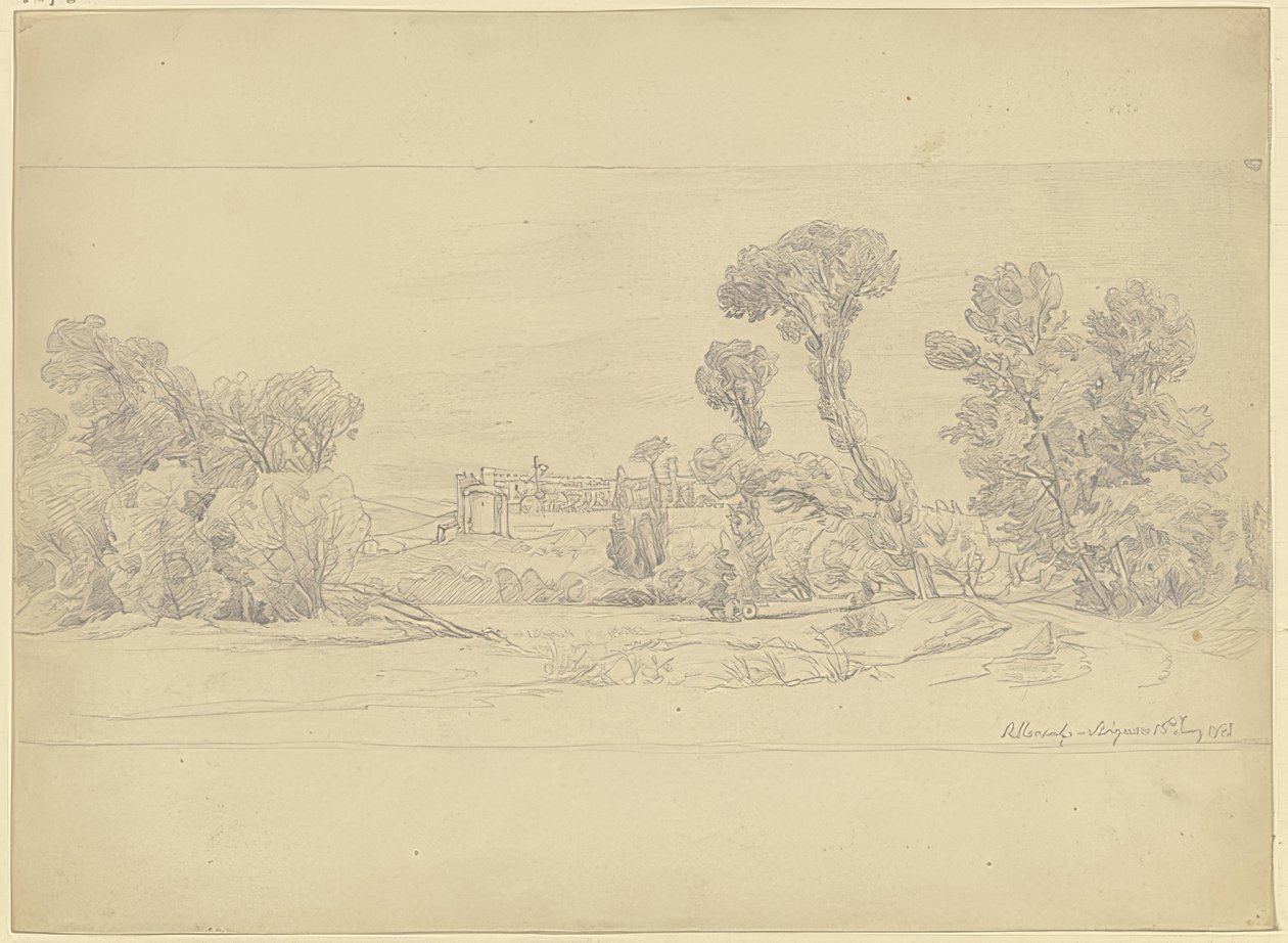 Estudio de árbol en la región de Villeneuve cerca de Aviñón de Carl Morgenstern