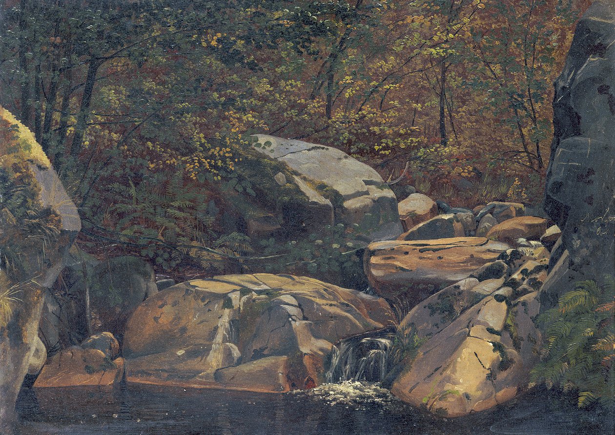 Arroyo del bosque (Cascada entre rocas) de Carl Morgenstern