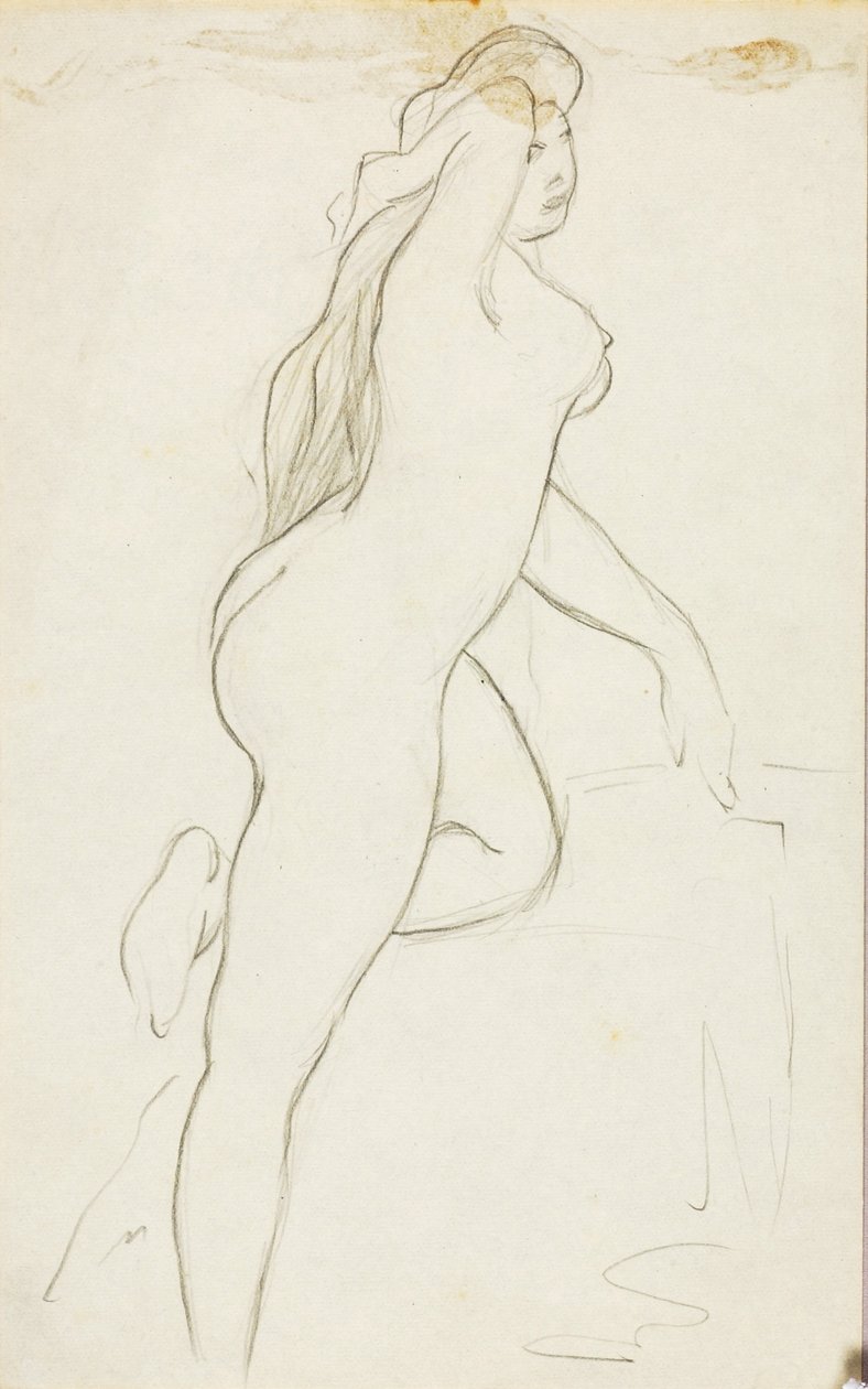 Desnudo femenino de Carl Newman
