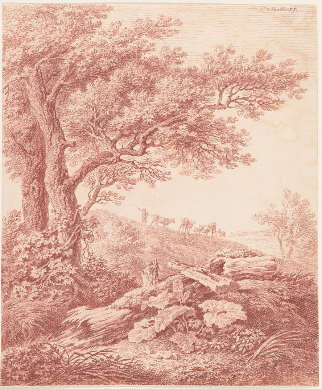 Árboles Antiguos en un Paisaje Pastoral de Carl Philipp Schallhas