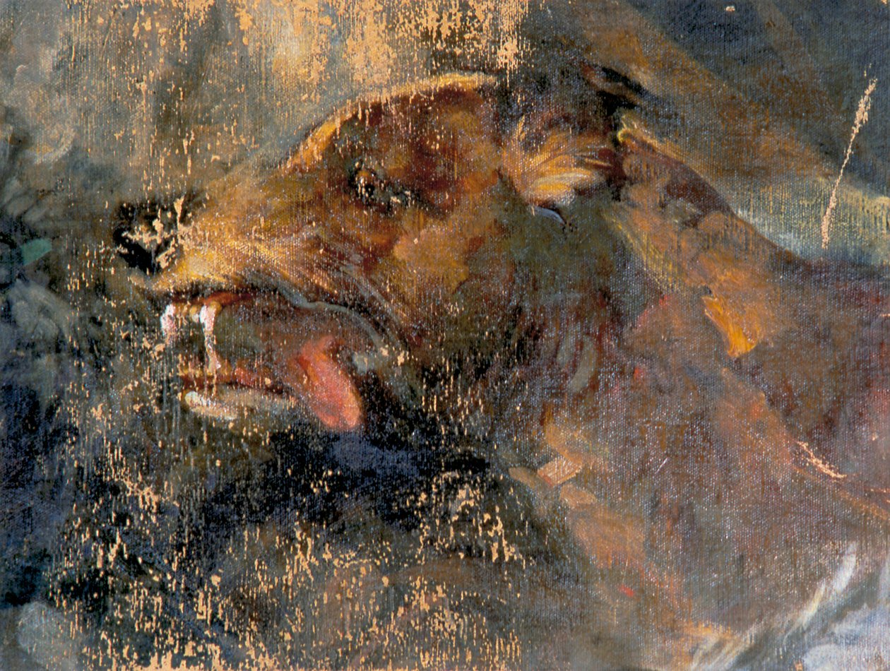 cabeza de perro de Carl Rudolf Huber
