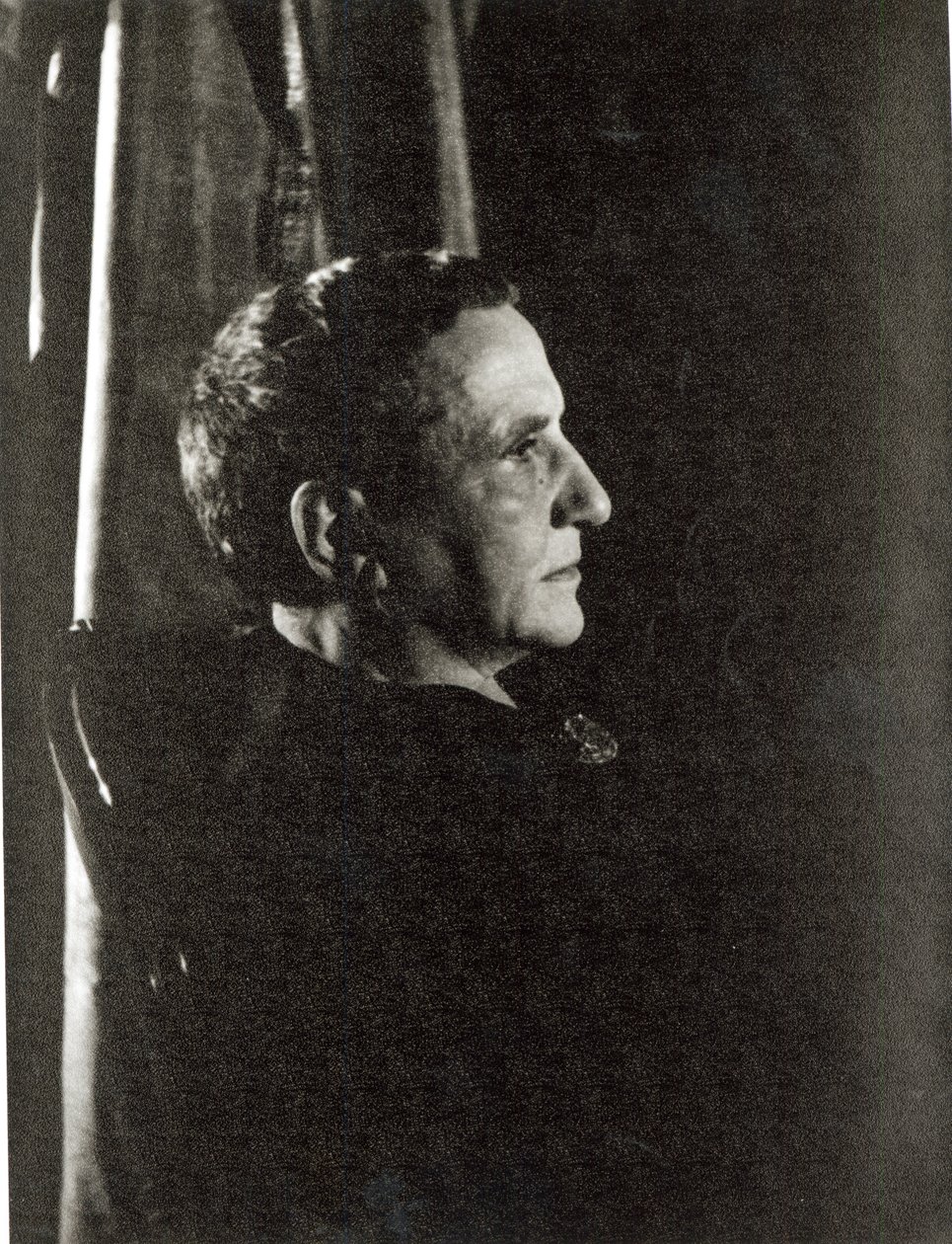 Gertrude Stein (1874-1946) 4 de noviembre de 1934 (gelatina de plata) de Carl Van Vechten