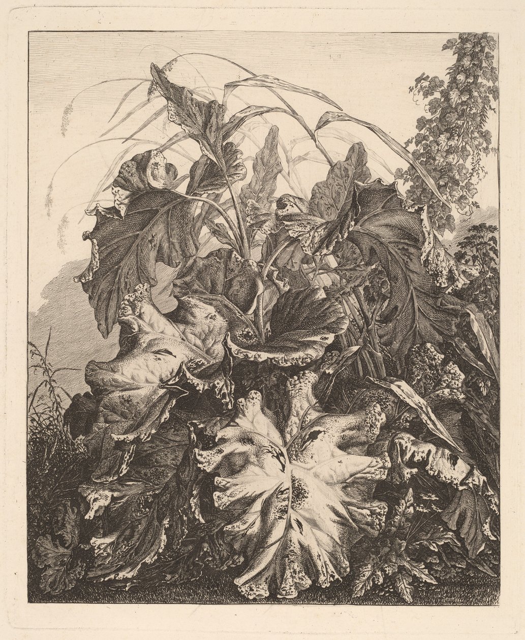Follaje con juncos de Carl Wilhelm Kolbe