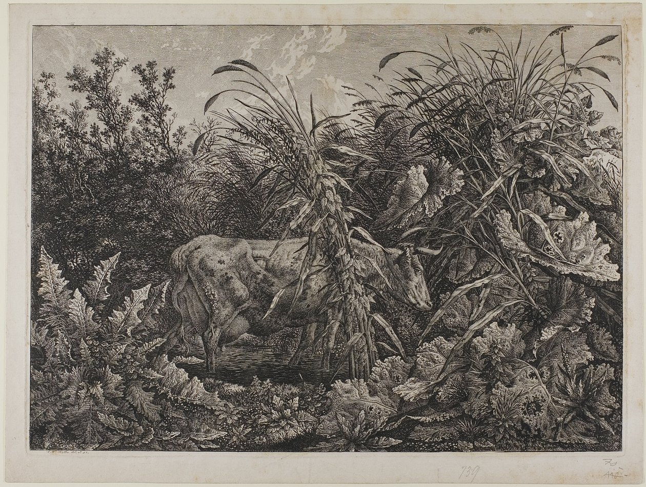 Vaca en un arroyo de Carl Wilhelm Kolbe the elder