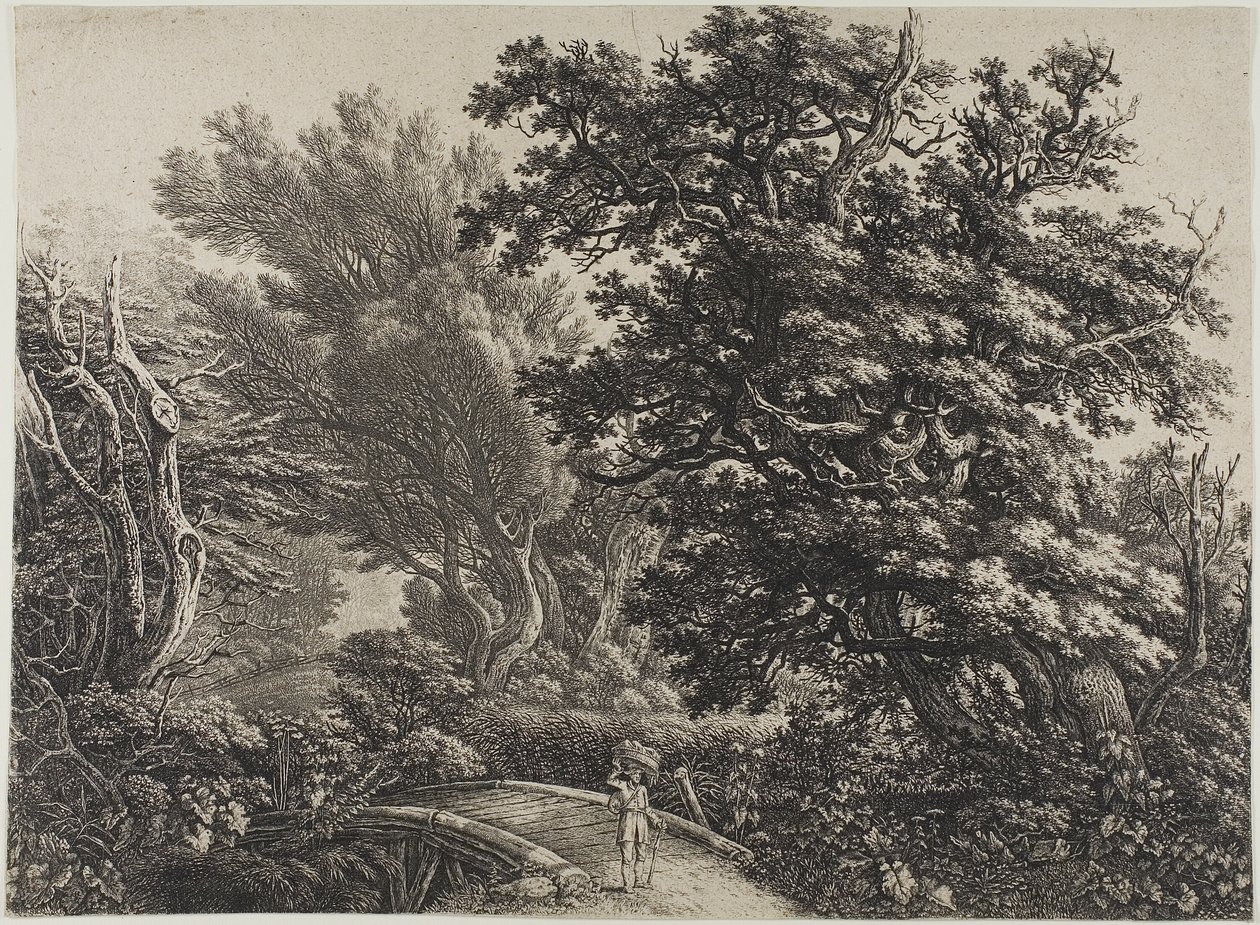 Puente rústico en un bosque enmarañado de Carl Wilhelm Kolbe, the elder