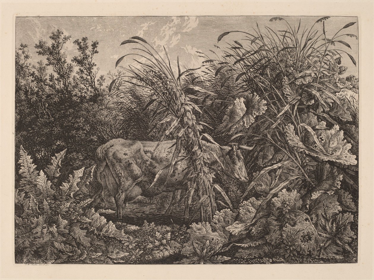 La vaca en el pantano de Carl Wilhelm Kolbe, the elder