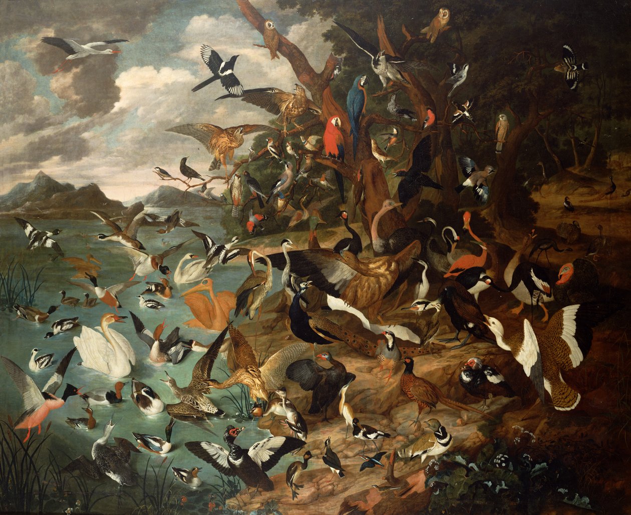 El Parlamento de las Aves de Carl Wilhelm de Hamilton