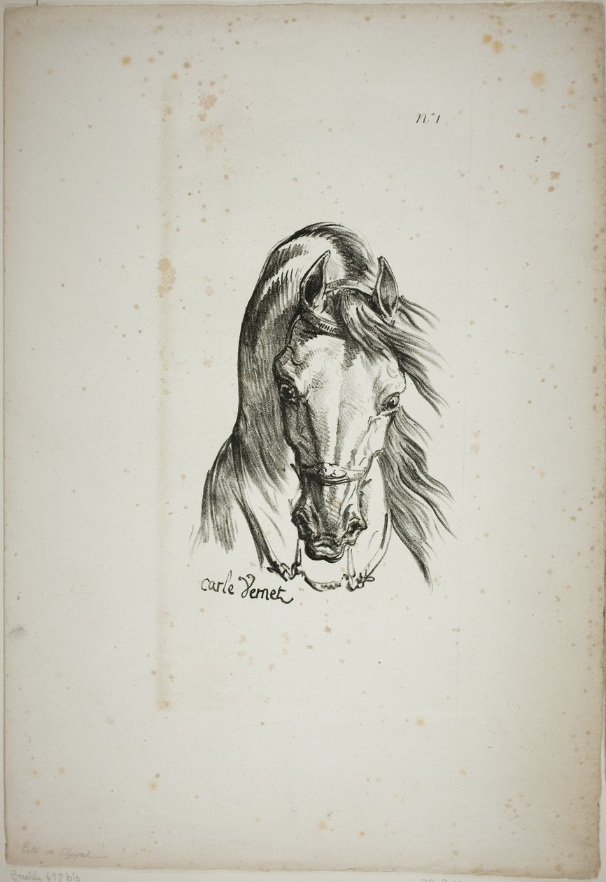 Detalle de la cabeza de caballo, ampliada al triple, Guardia Real Normanda, nº 1 de Carle Vernet
