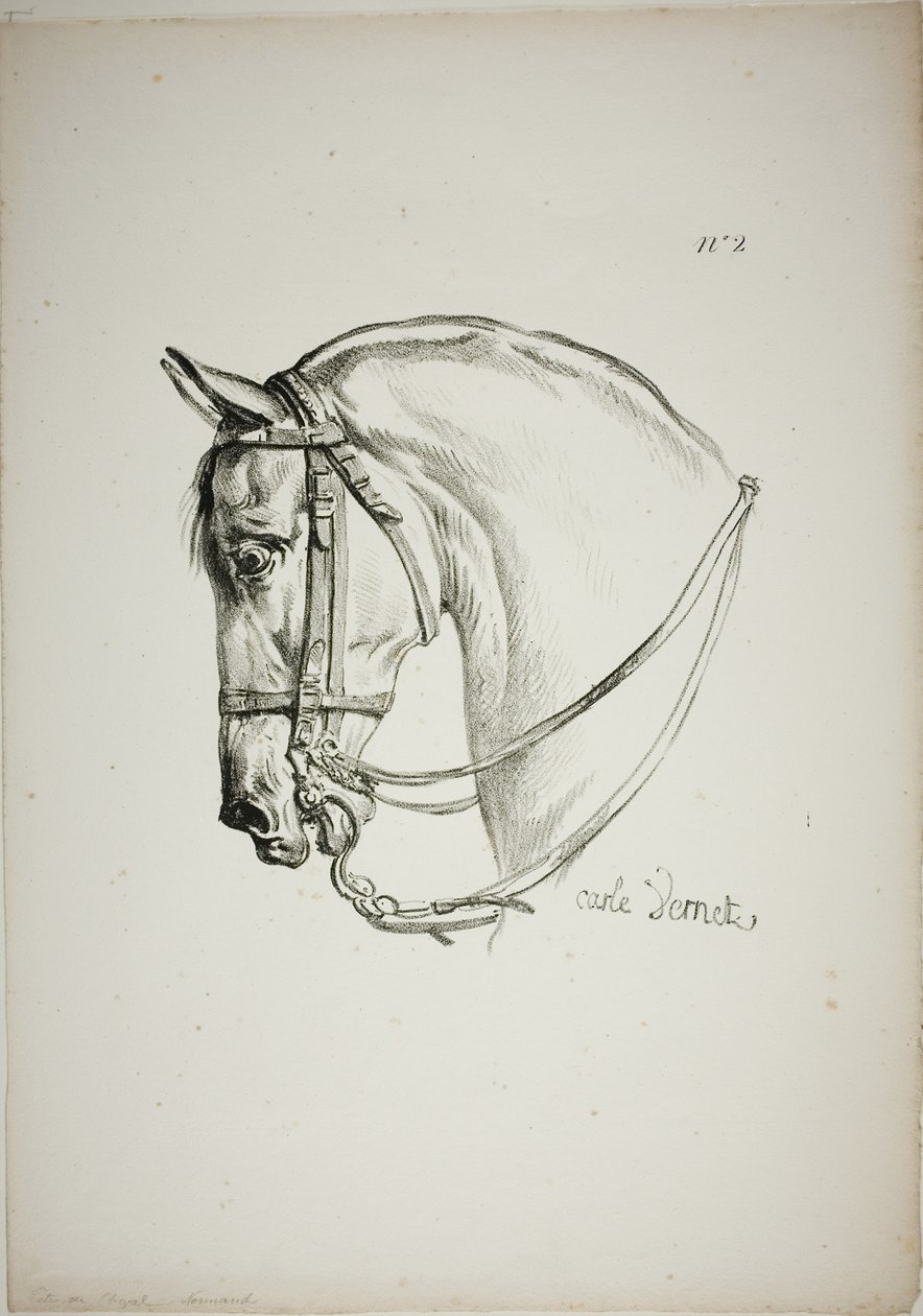 Detalle de la cabeza de caballo, ampliada al triple, Guardia Real Normanda, nº 2 de Carle Vernet