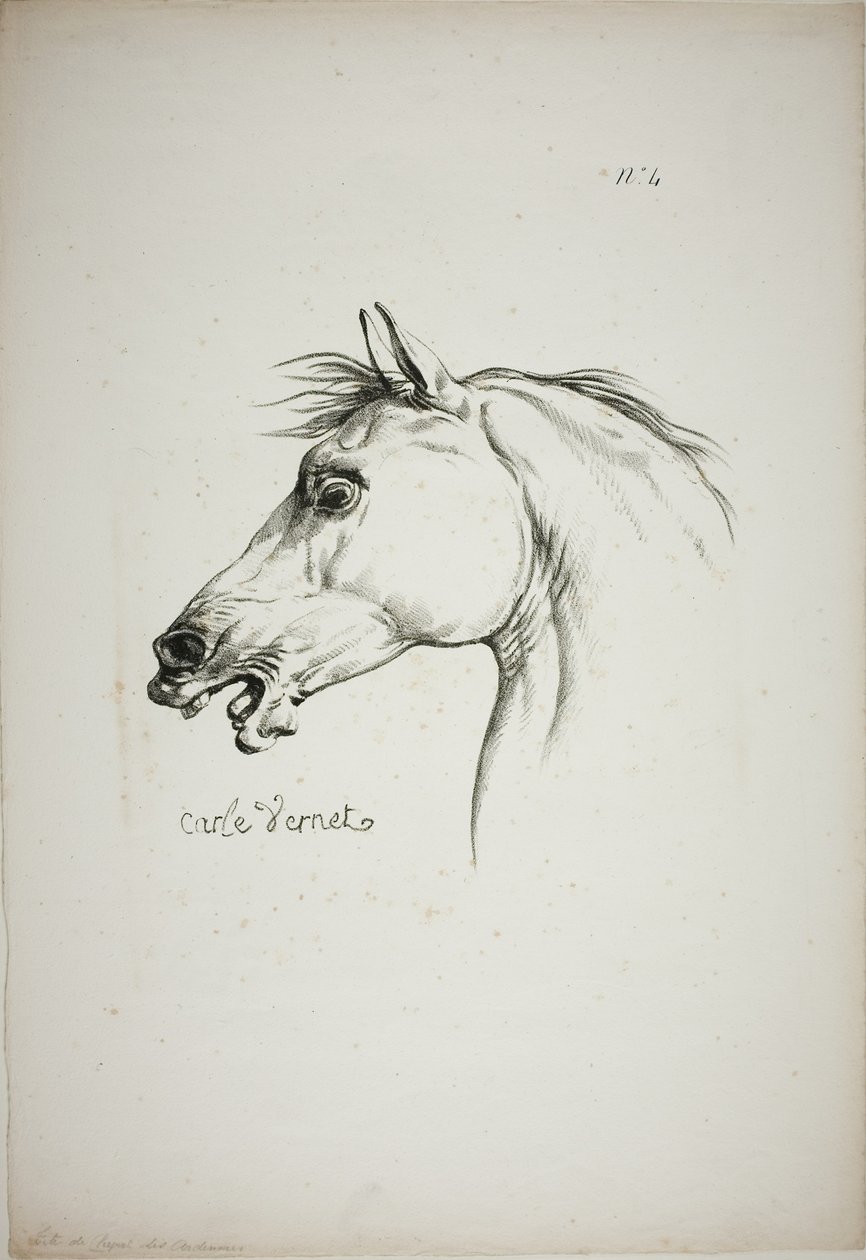 Detalle de la cabeza de caballo, ampliada al triple, Guardia Real Normanda, nº 4 de Carle Vernet