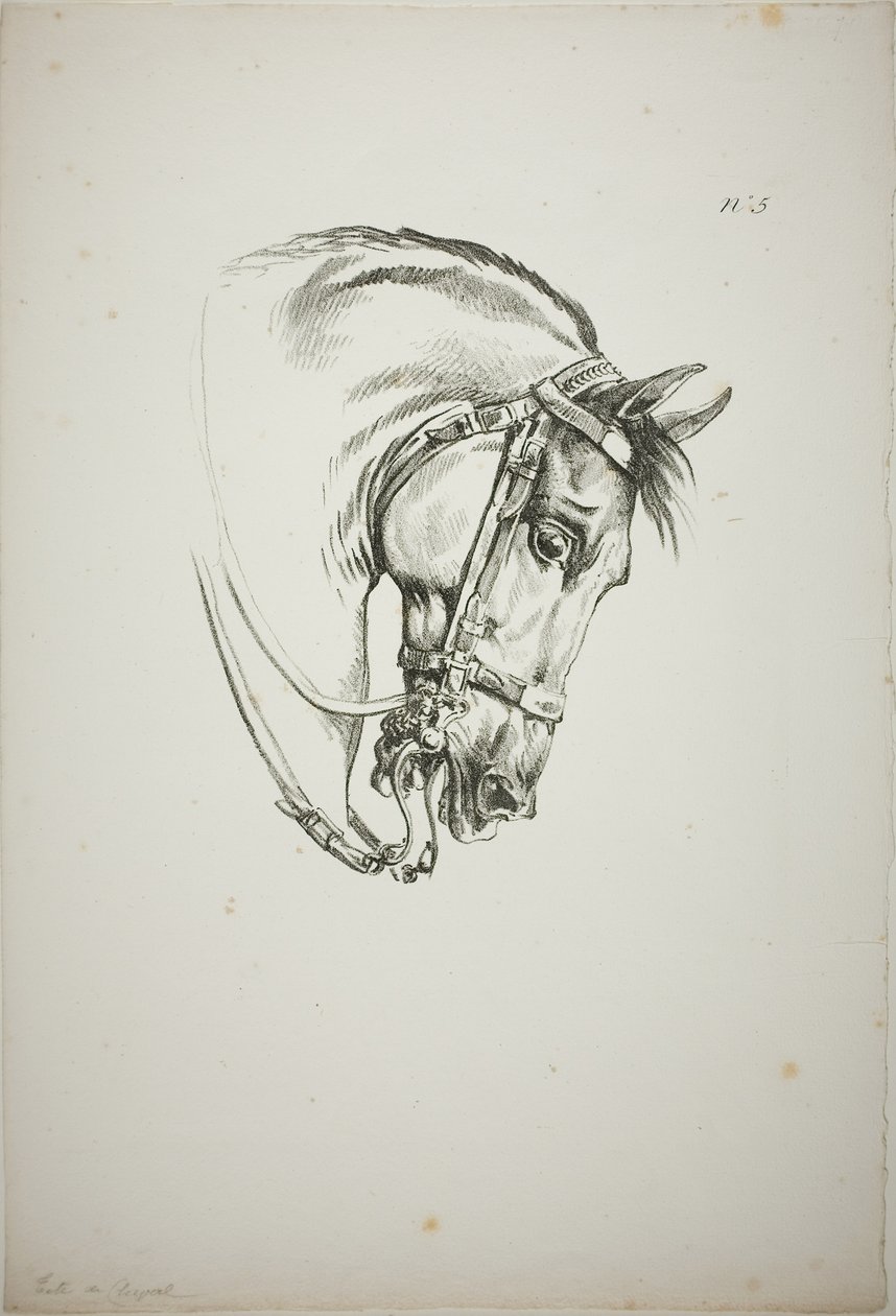 Detalle de la cabeza de caballo, ampliada al triple, Guardia Real Normanda, nº 5, Primer Caballo de Limoges de Carle Vernet