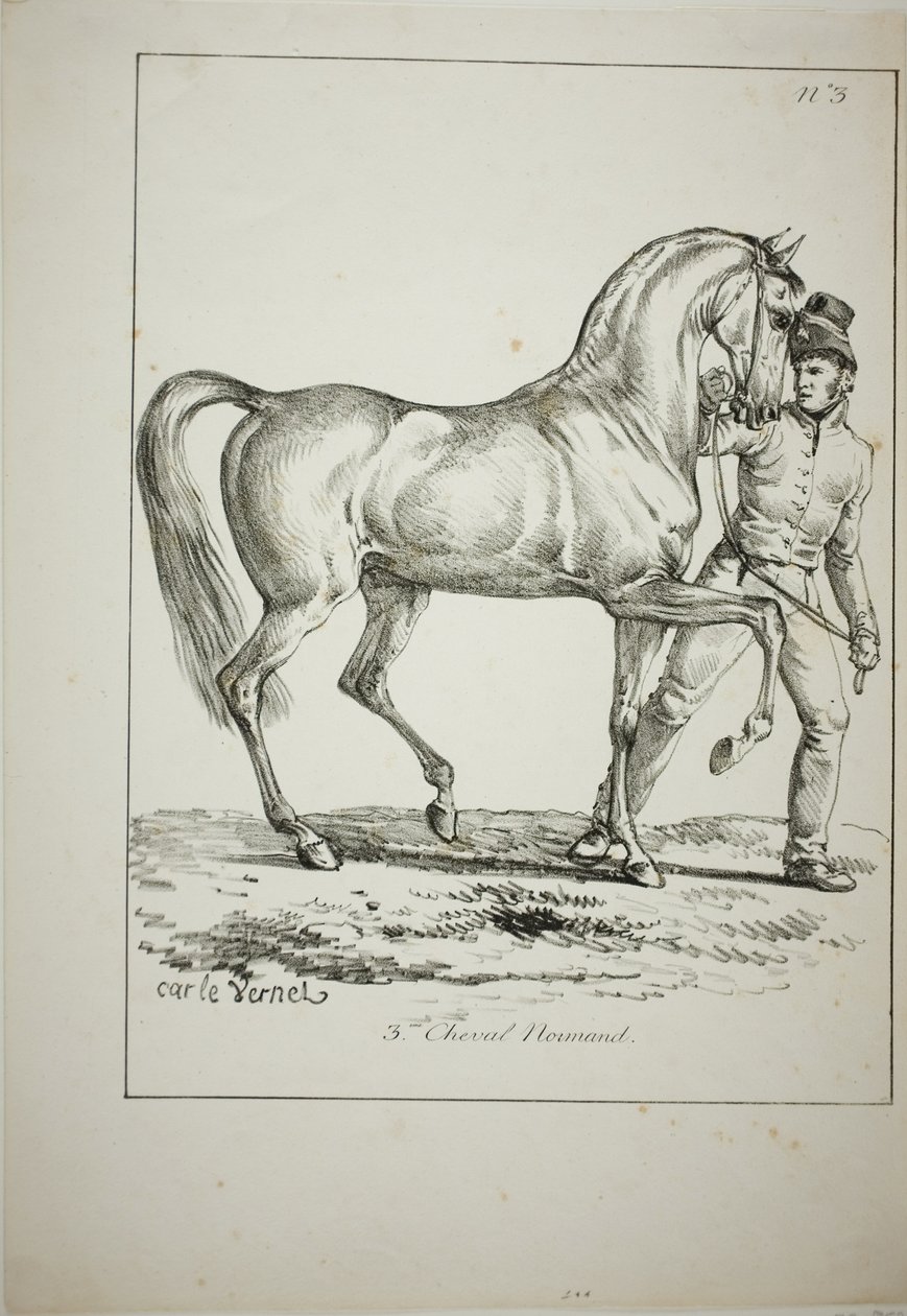 Guardia Real, caballero normando, no en traje completo, y caballo, No. 3 de Carle Vernet