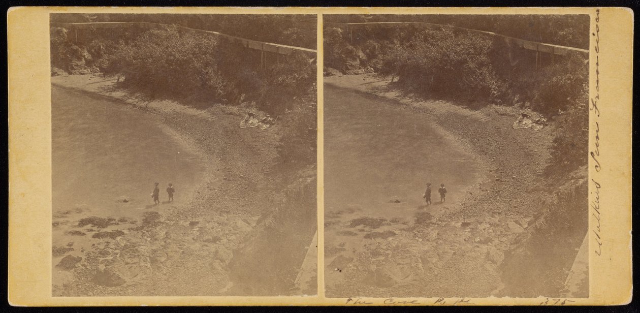 La Ensenada, S.F. de Carleton E. Watkins