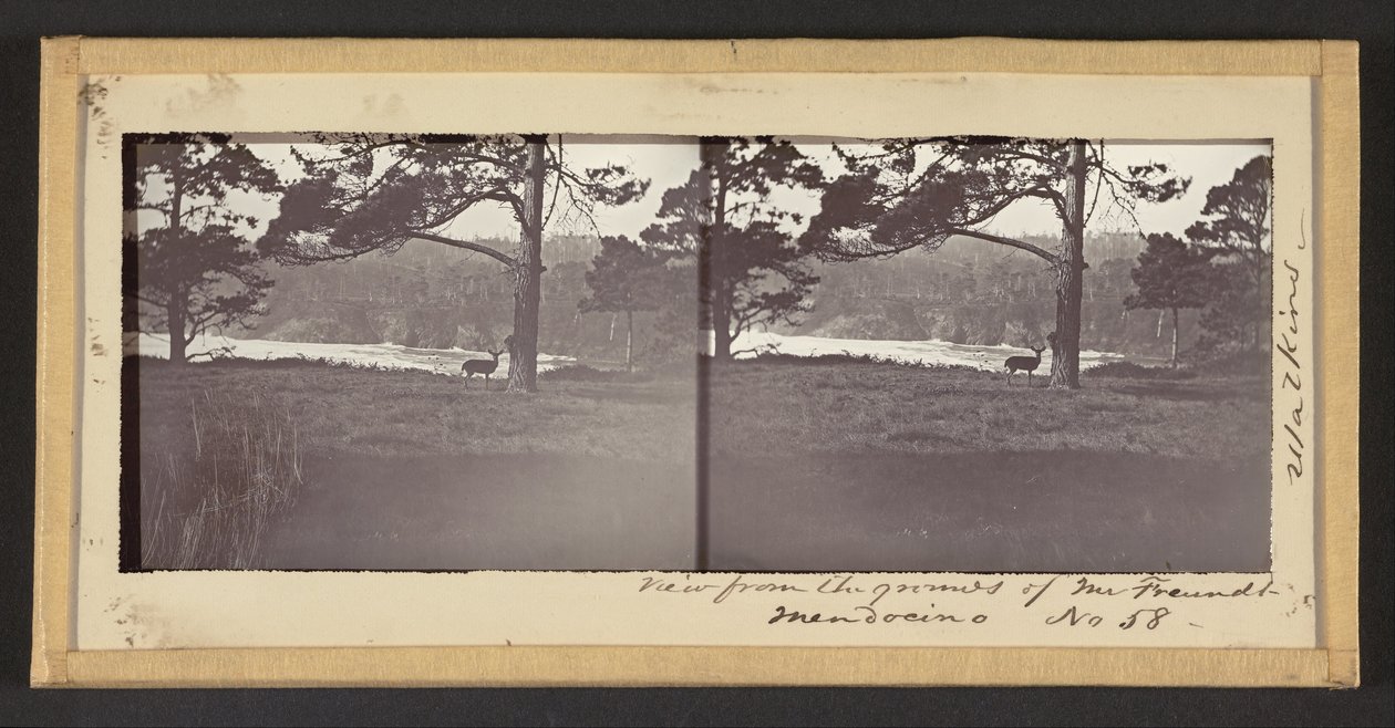Vista desde los terrenos del Sr. Freundt, Mendocino de Carleton E. Watkins