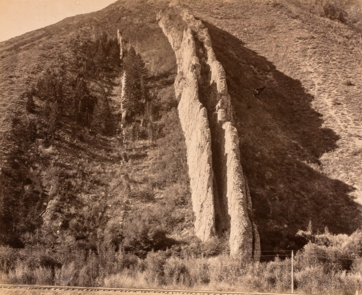 Tobogán del Diablo de Carleton E. Watkins