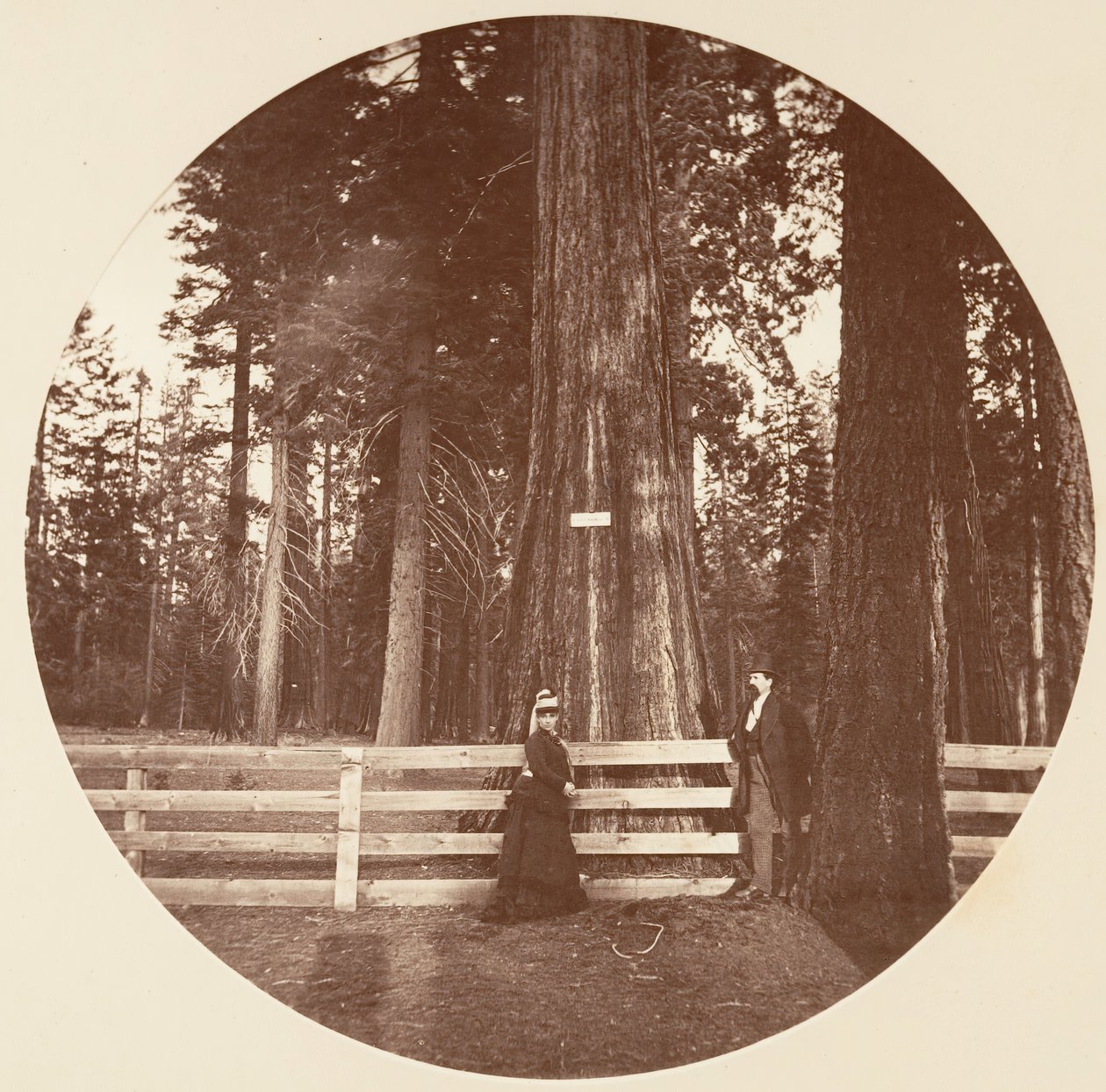 Auld Reckie de Carleton Emmons Watkins