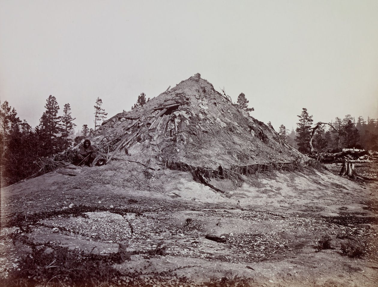 Casa de sudor india, condado de Mendocino, California, 1863 de Carleton Emmons Watkins
