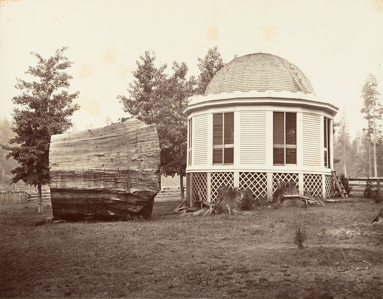 La casa sobre un tocón de un gran árbol de Carleton Emmons Watkins