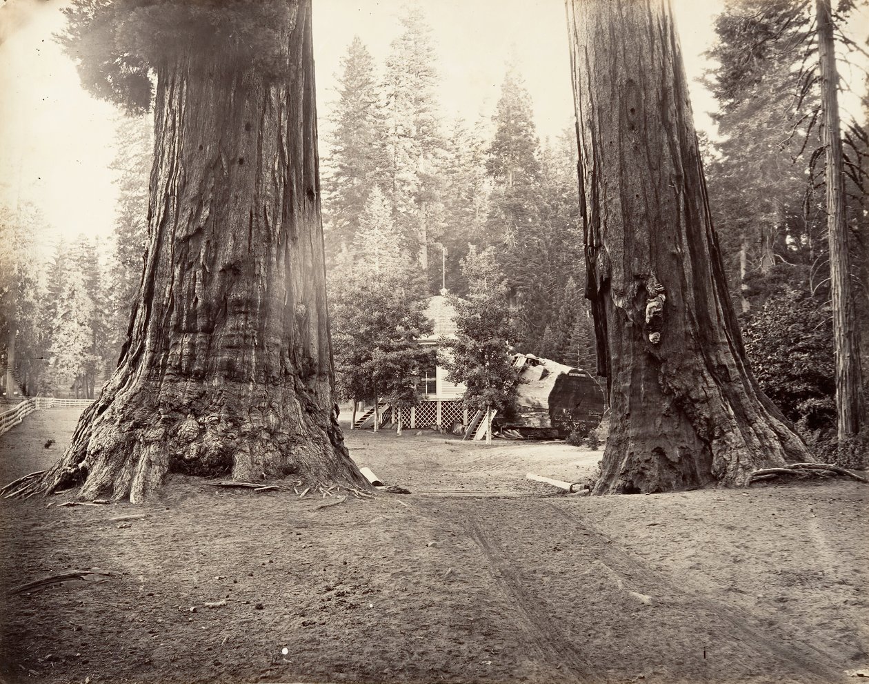 Los Centinelas, 315 pies, Yosemite de Carleton Emmons Watkins