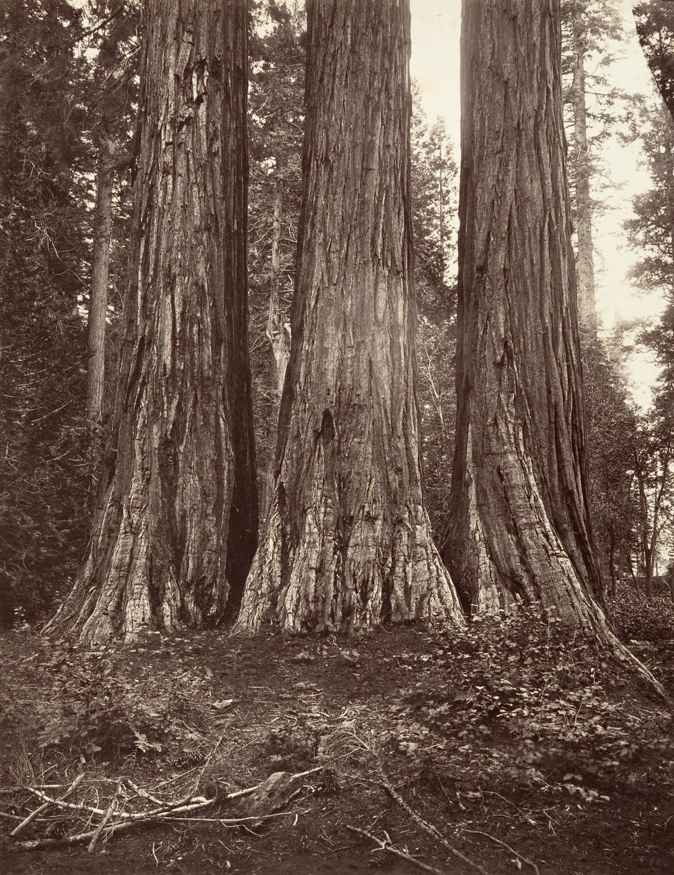 Las tres gracias de Carleton Emmons Watkins