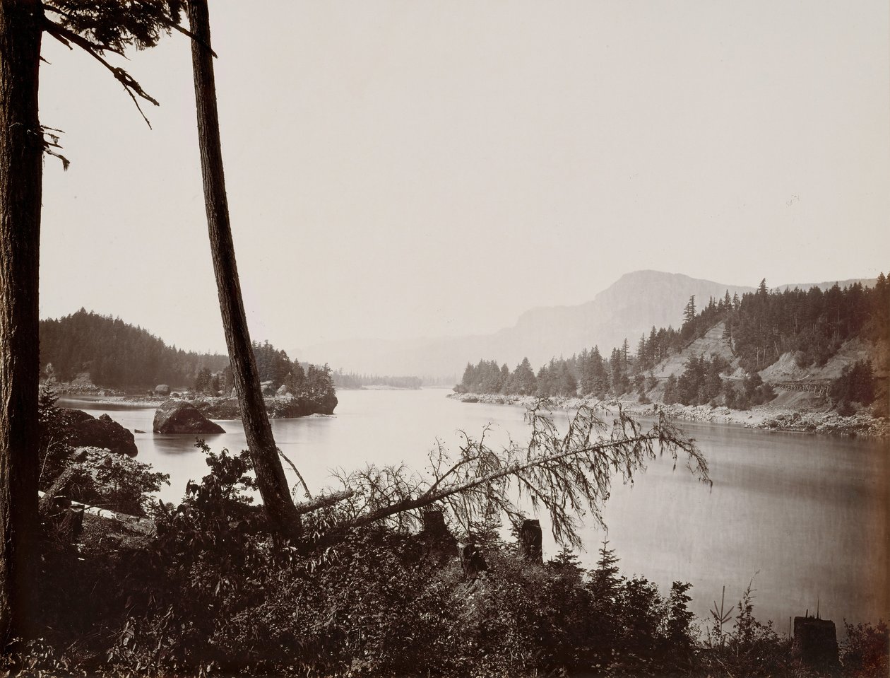 Vista en el Columbia, Cascadas, 1867 de Carleton Emmons Watkins