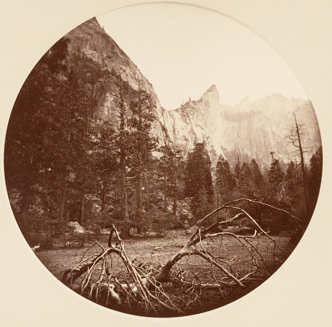 [Parque Nacional Yosemite, California], ca. 1878 de Carleton Emmons Watkins