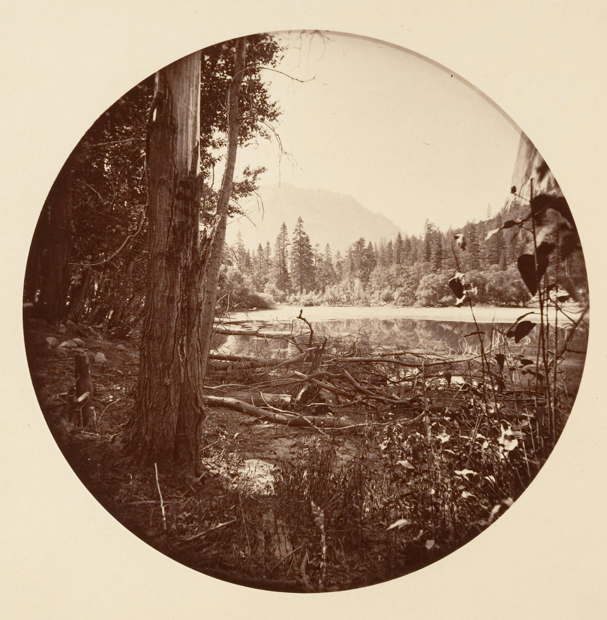 [Parque Nacional Yosemite, California], ca. 1878 de Carleton Emmons Watkins