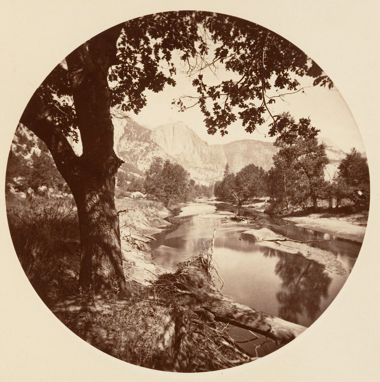 [Parque Nacional Yosemite, California] de Carleton Emmons Watkins