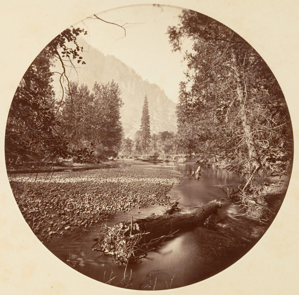 Parque Nacional de Yosemite, California, ca. 1878 de Carleton Emmons Watkins
