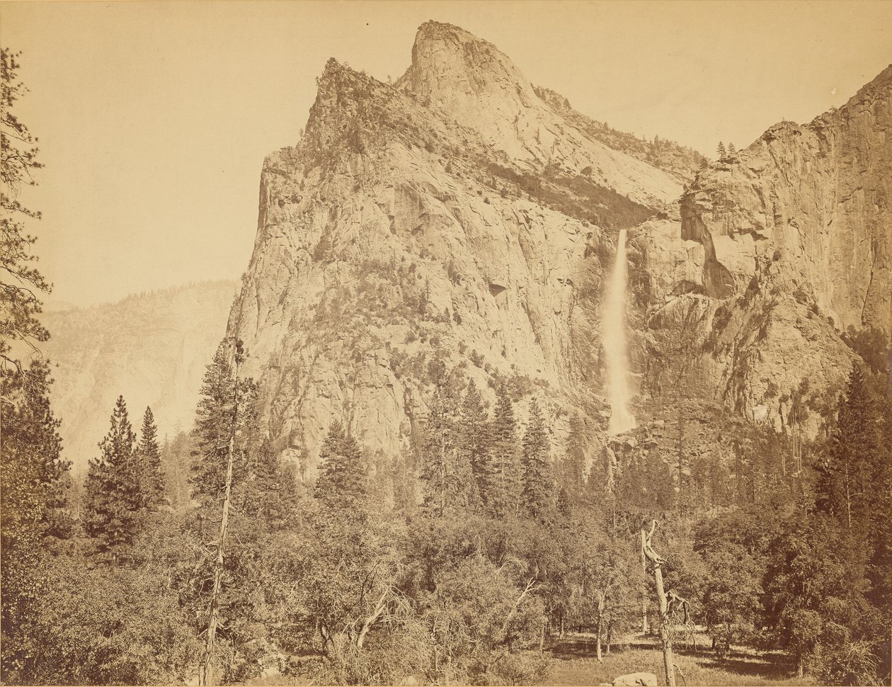 [Velo de la Novia, 900 pies de altura] de Carleton Watkins