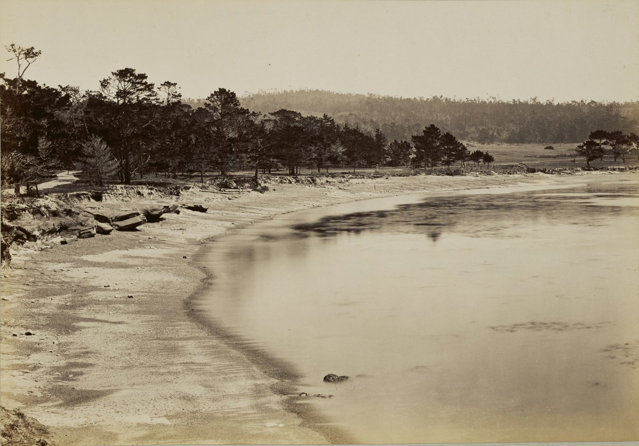 [Vista de la costa cerca de Monterey] de Carleton Watkins