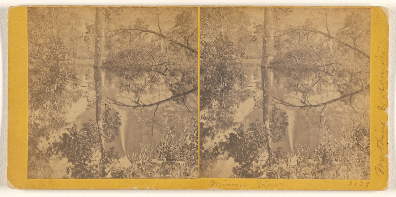 [Mirror View, Yosemite Valley, Mariposa County, Cal.] de Carleton Watkins