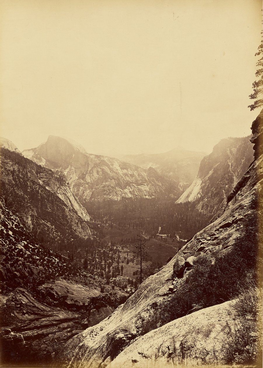 [Las Cúpulas desde el Pie del Alto Yosemite] de Carleton Watkins