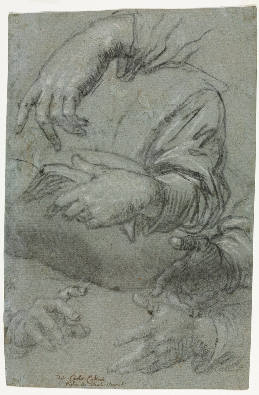 Estudios de manos (recto) de Carletto Caliari