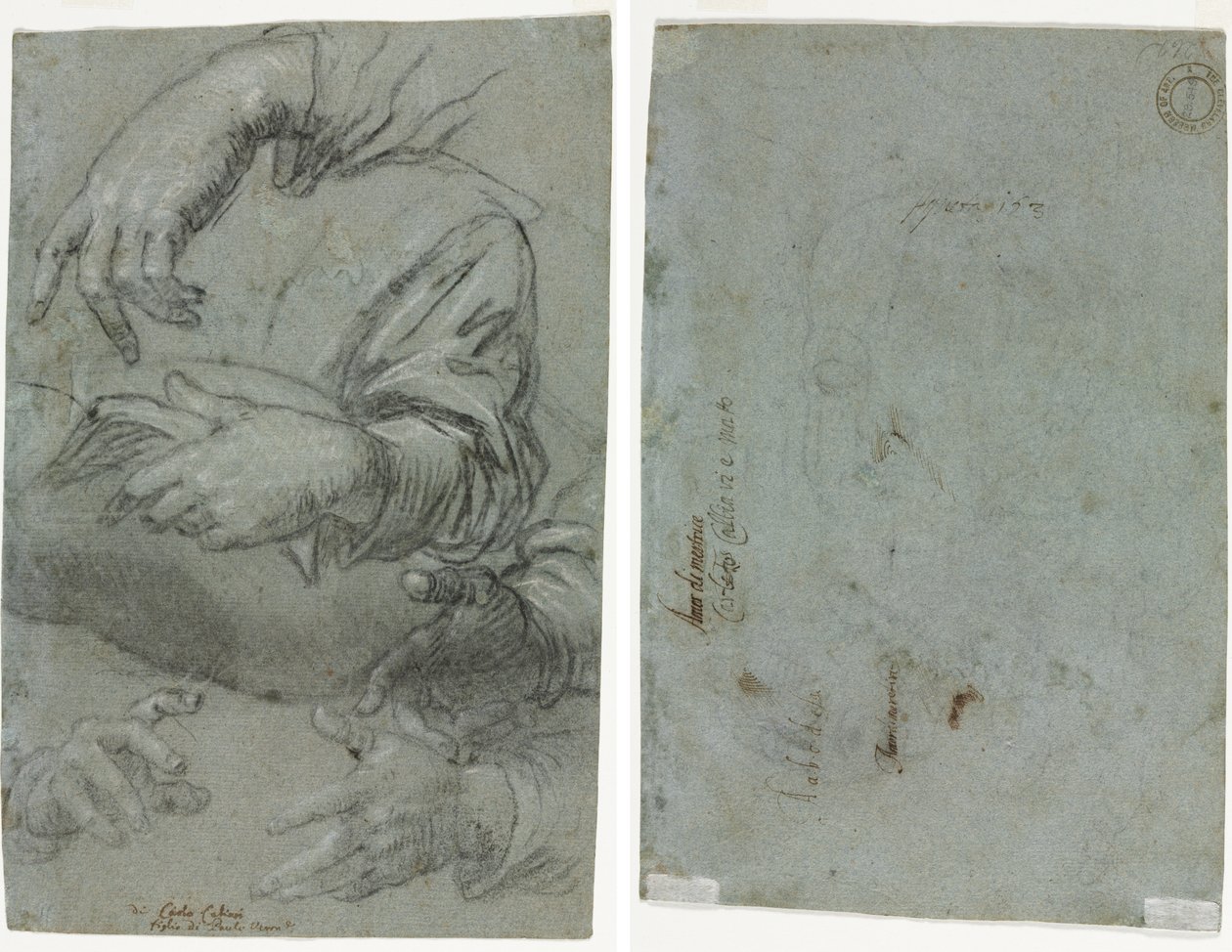Estudios de manos (recto); Boceto de la cabeza de un niño (verso) de Carletto Caliari