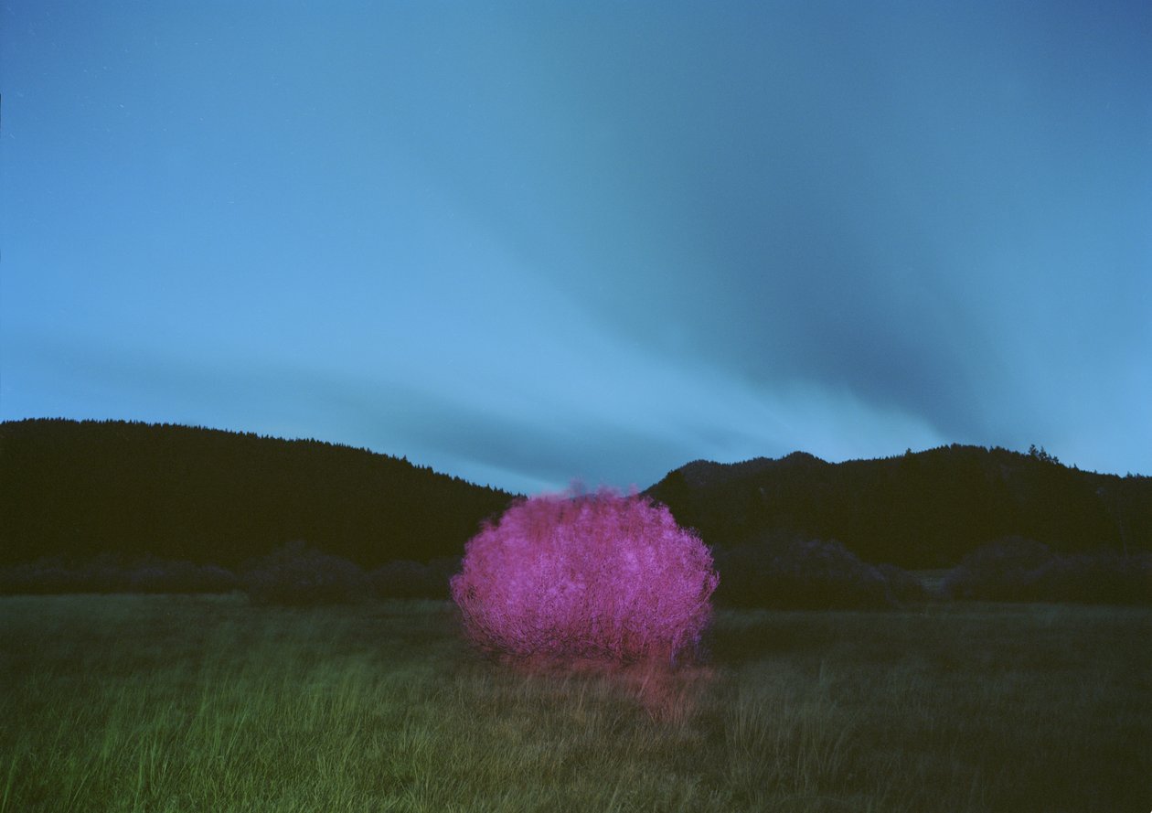 Pintar en la oscuridad, 2015 de Carli Choi